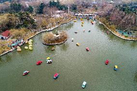 Chinese Celebrate Lunar New Year