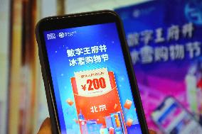 Chinese Digital RMB Currency