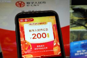 Chinese Digital RMB Currency
