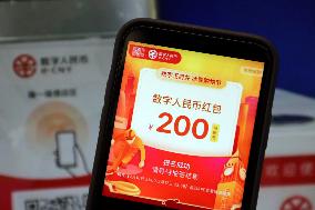 Chinese Digital RMB Currency