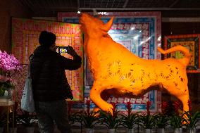 Daily Lifen In Nanjing