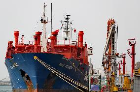 Qingdao Port Cargo Throughput Increased