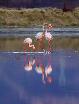 China Environmental Improvement