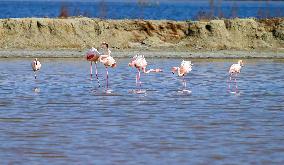 China Environmental Improvement