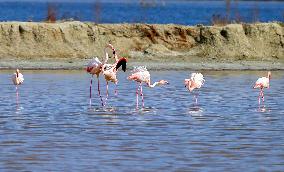 China Environmental Improvement