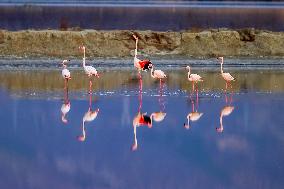 China Environmental Improvement