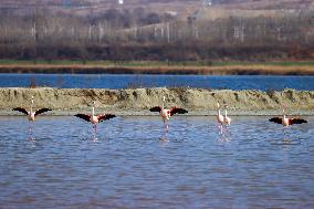 China Environmental Improvement
