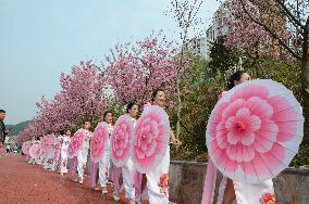 Daily Life In Jinpin