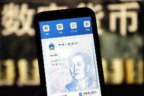 Chinese Digital Currency E-CNY