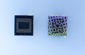 2021 World Mobile Conference Opened in Shanghai