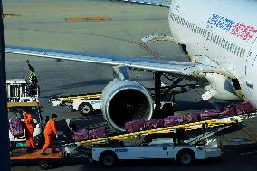 Aviation Industry in China