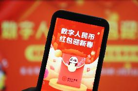 Chinesel E-CNY Popularize