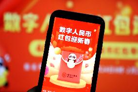 Chinesel E-CNY Popularize