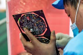 Lighting Appliance Poverty Alleviation Workshop