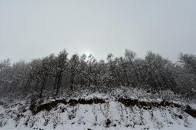 SnoCovers Mist-shrouded Baihua Mountain in Beijing