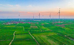 Rural Revitalization Strategy