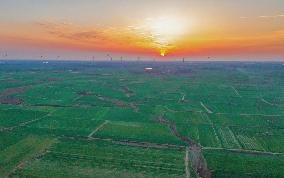 Rural Revitalization Strategy