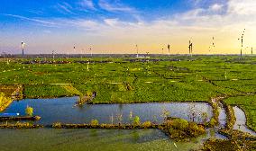 Rural Revitalization Strategy