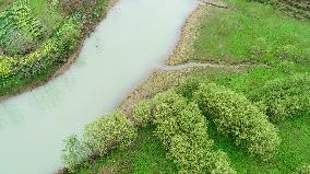Environmental Improvement in China