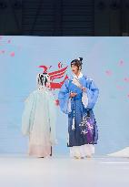 Chinese Hanfu Day Proposal