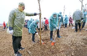 Planting Trees in Coastal Wetland