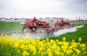 China Intelligent Agriculture