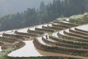 Jiabang Rice Terraces