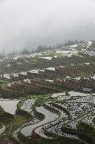 Jiabang Rice Terraces