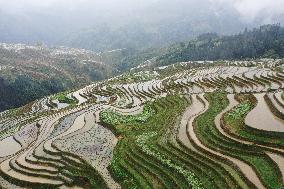 Jiabang Rice Terraces