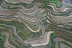 Jiabang Rice Terraces