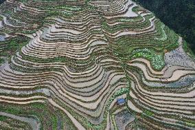 Jiabang Rice Terraces