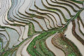 Jiabang Rice Terraces