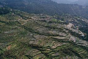 Nanfeng Rice Terraces