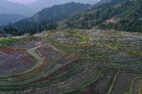 Nanfeng Rice Terraces