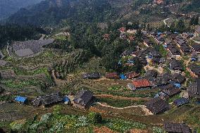 Nanfeng Rice Terraces