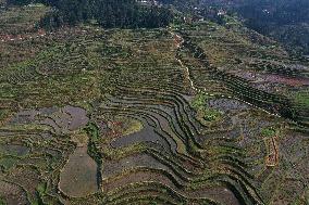 Nanfeng Rice Terraces