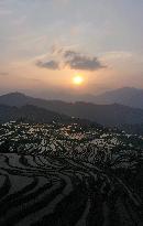 Nanfeng Rice Terraces