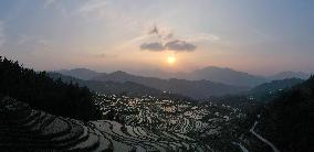 Nanfeng Rice Terraces