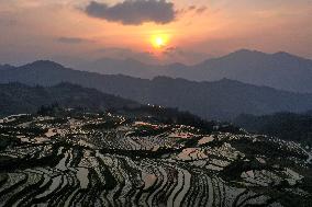 Nanfeng Rice Terraces