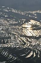 Nanfeng Rice Terraces