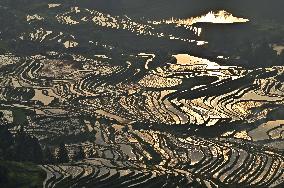 Nanfeng Rice Terraces