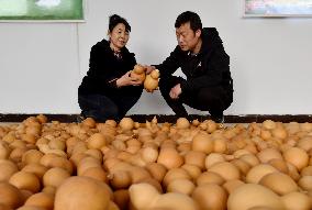 National Instruments Export