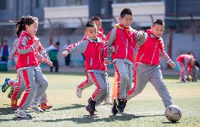 Pupils Physical Exercises