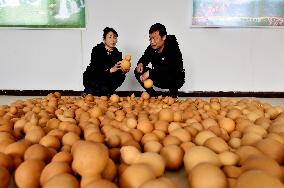 National Instruments Export