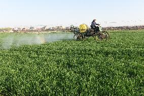 Intelligent Agriculture