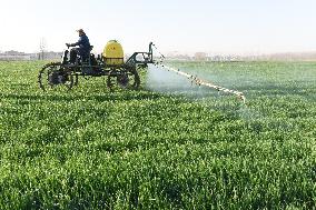 Intelligent Agriculture