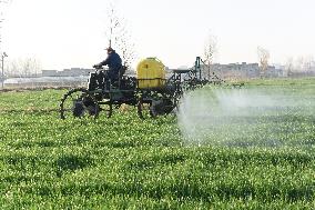 Intelligent Agriculture