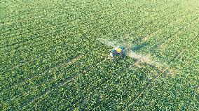 Intelligent Agriculture