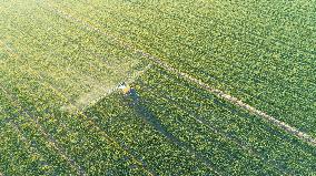 Intelligent Agriculture