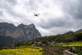 Intelligent Agriculture